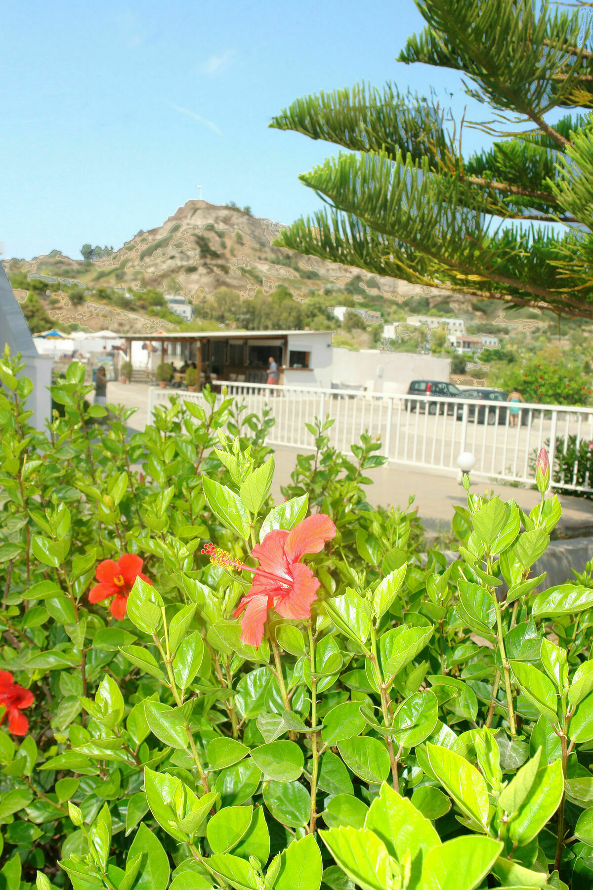 Archodia Studios Kefalos  Luaran gambar